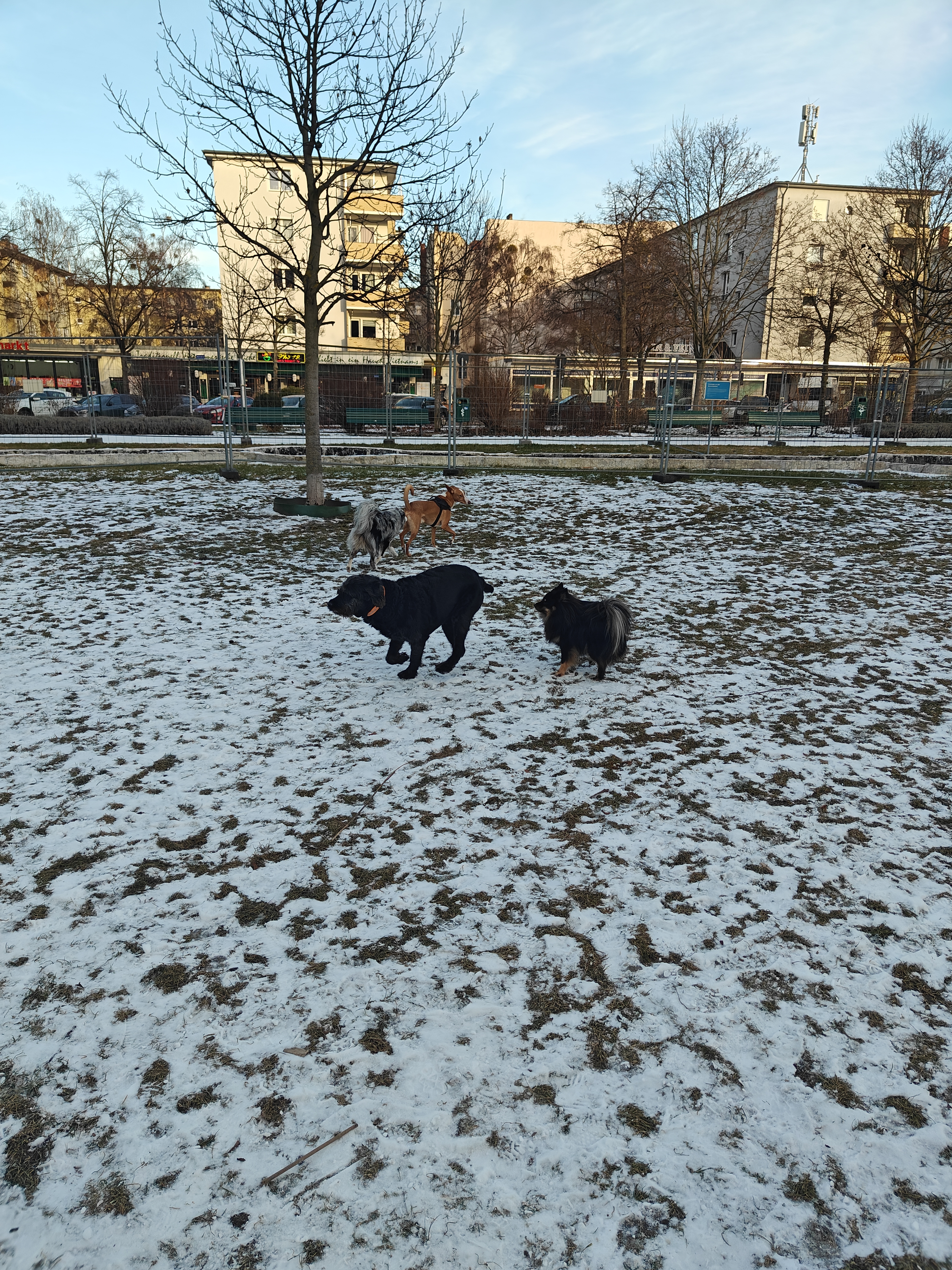 Preview for Testimonial from Marco Locatelli, CEO at Naviri